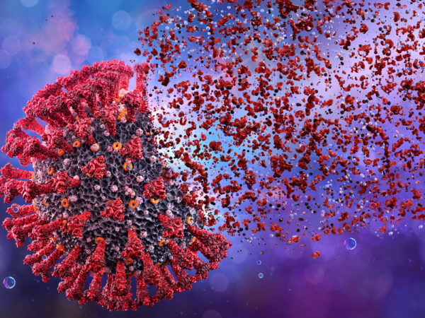 Coronavirus destruido